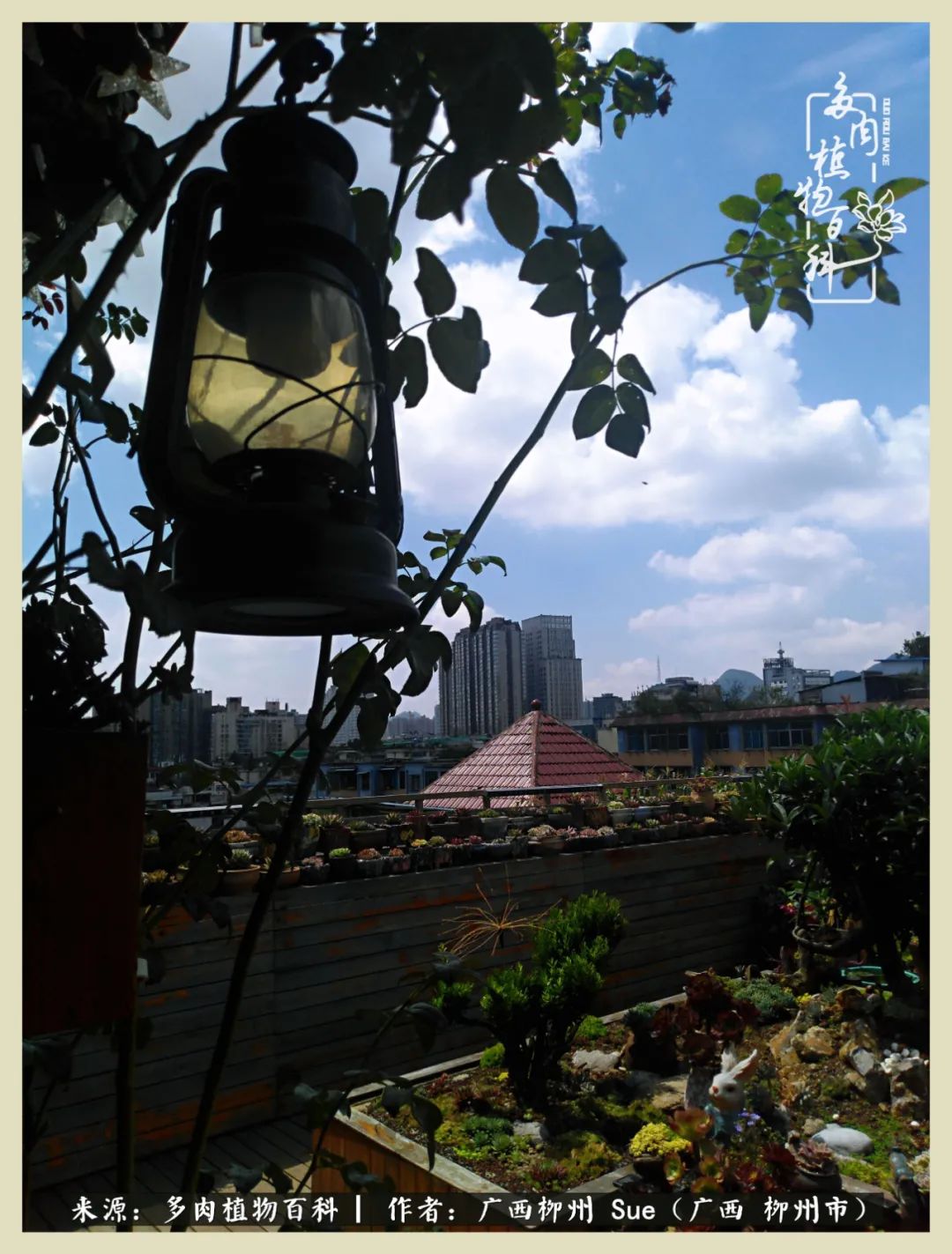 艳阳高照凉爽贵州,我要勤快地捕捉美好!(二)