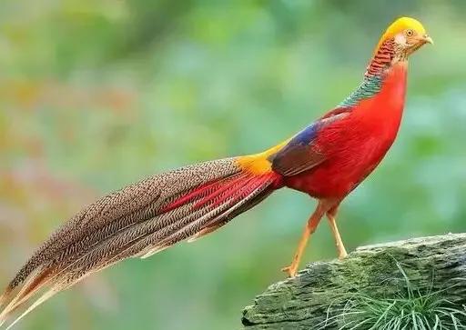 疫情面前，创始人捐款5000万的河南商超是何方神圣？曾两次自杀