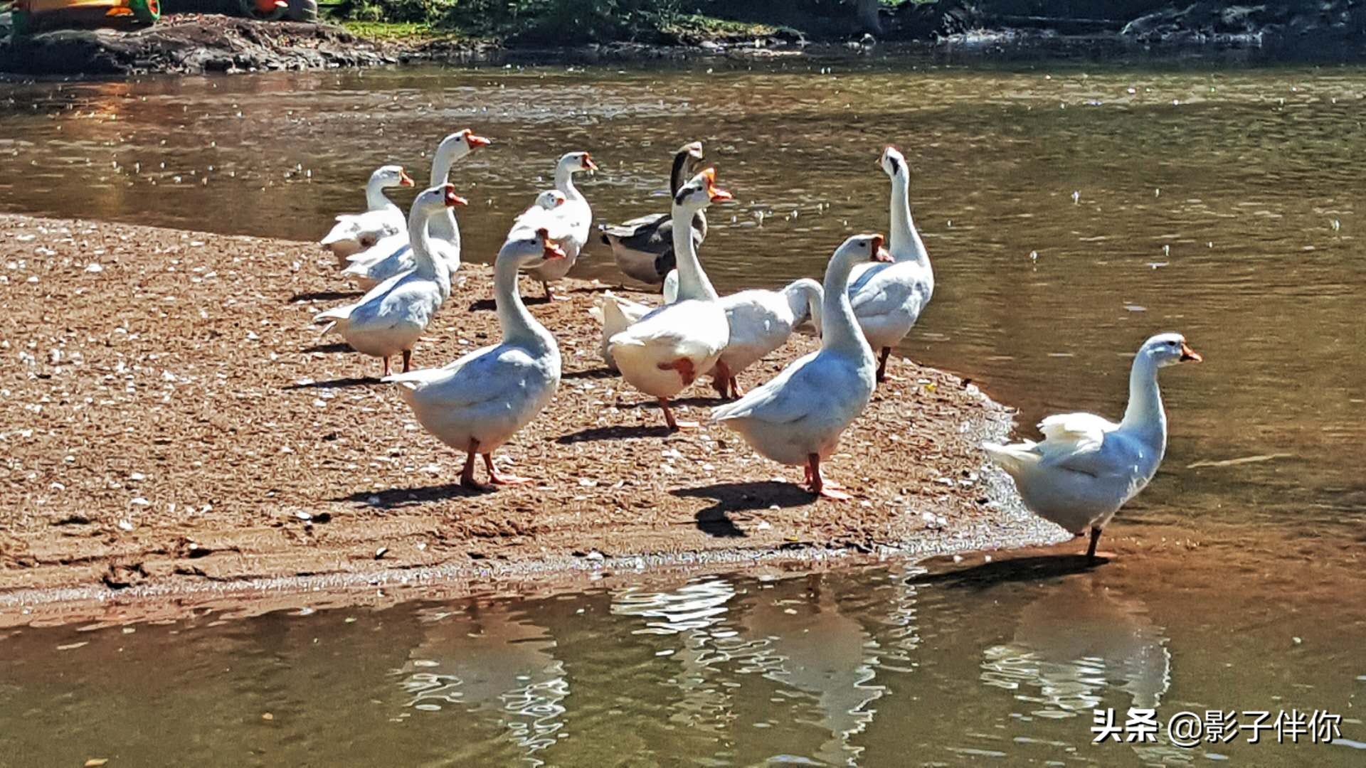 宝鸡大水川,宝鸡大水川好不好玩