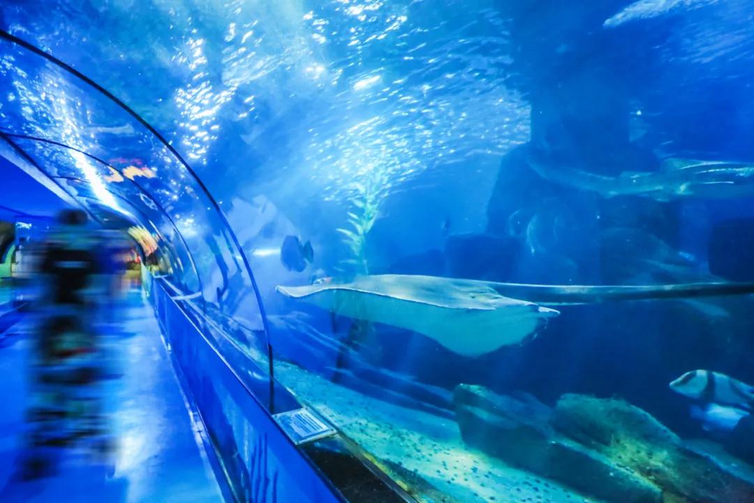 蓬莱自驾游旅游攻略路线推荐,蓬莱自驾游旅游攻略最佳路线