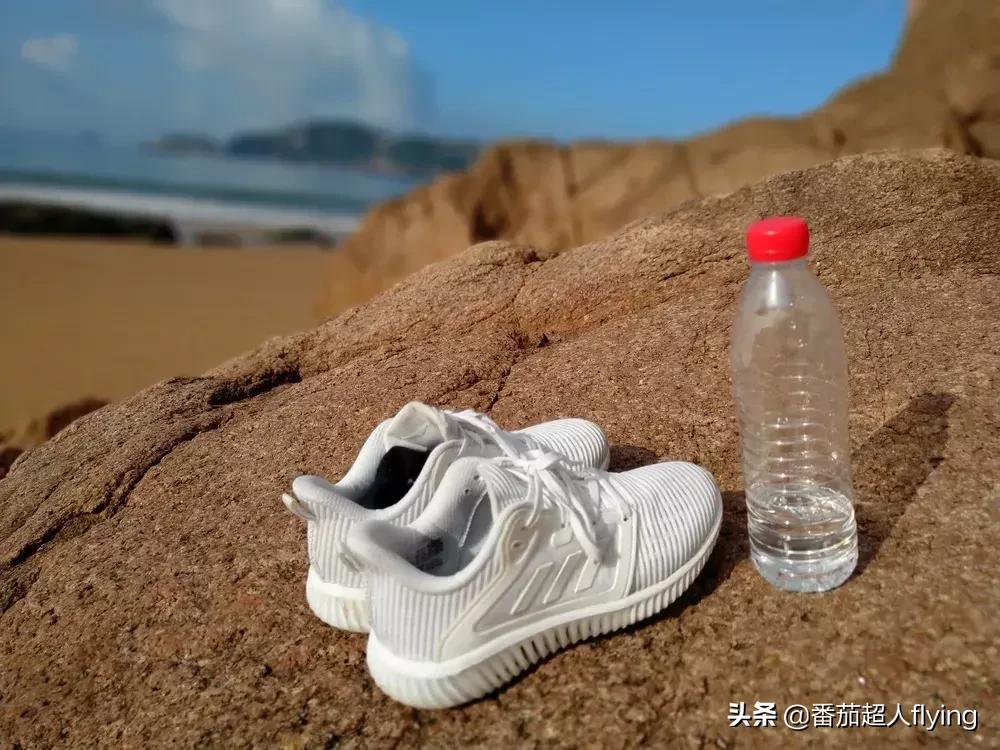 嵊泗岛枸杞岛无人村 (嵊泗枸杞海岛)