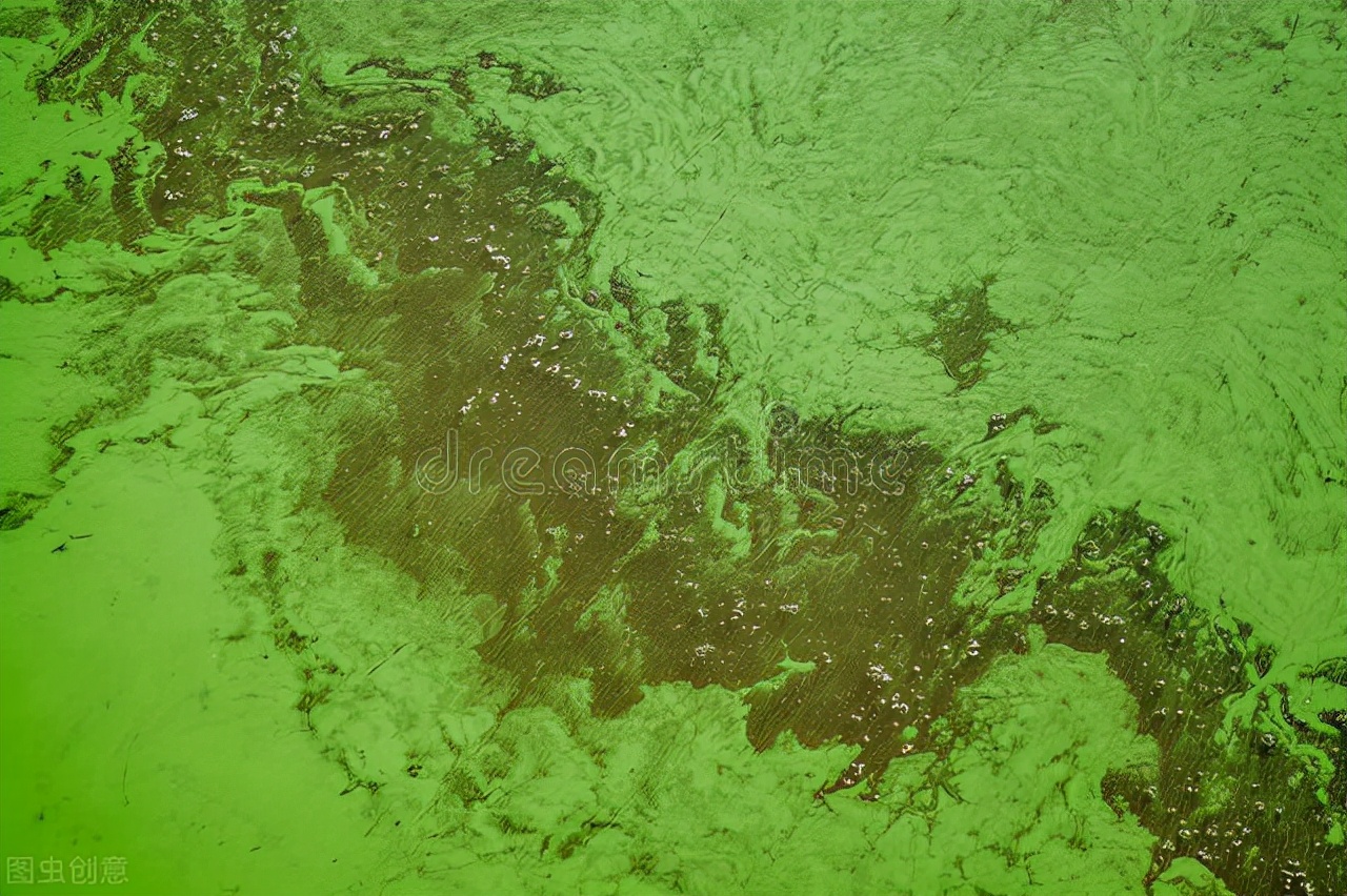 十大硅藻泥品牌哪个口碑比较好用,上海地区硅藻泥价格多少