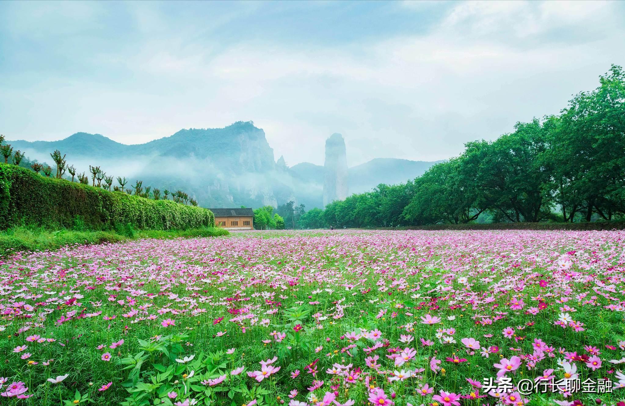 数据出炉！浙江人均住户*款贷**超10万，你“超标”了吗？