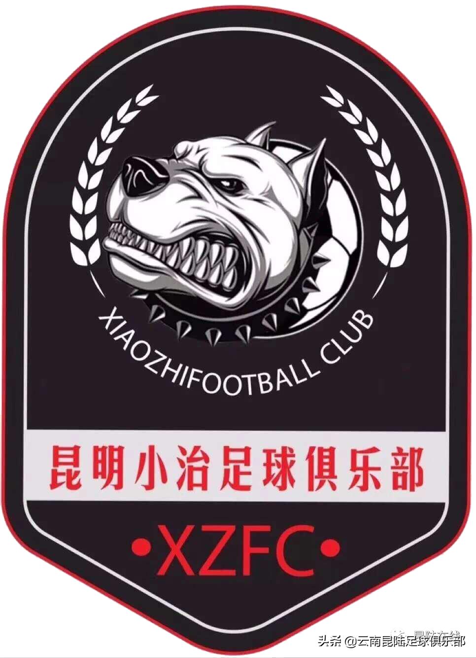 昆明市昆陆足球俱乐部,昆明昆陆足球俱乐部