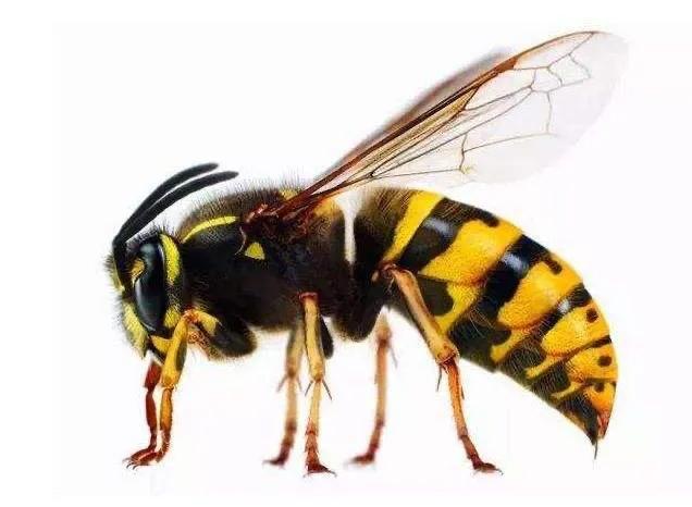 70后童年趣事有哪些,70后小时候的趣事有哪些