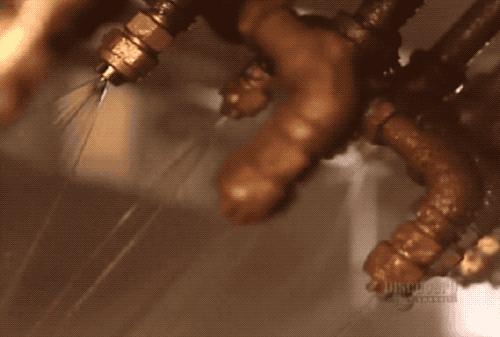 适合新手铲屎官养的狗粮,铲屎官们推荐一款便宜好狗粮