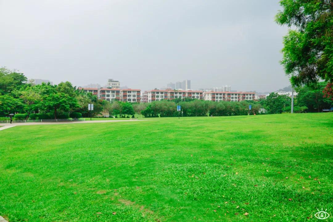 深圳宝藏公园风景图片,深圳宝藏自然游乐区