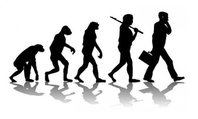 人类起源的演化过程问题和答案,人类起源观点是什么