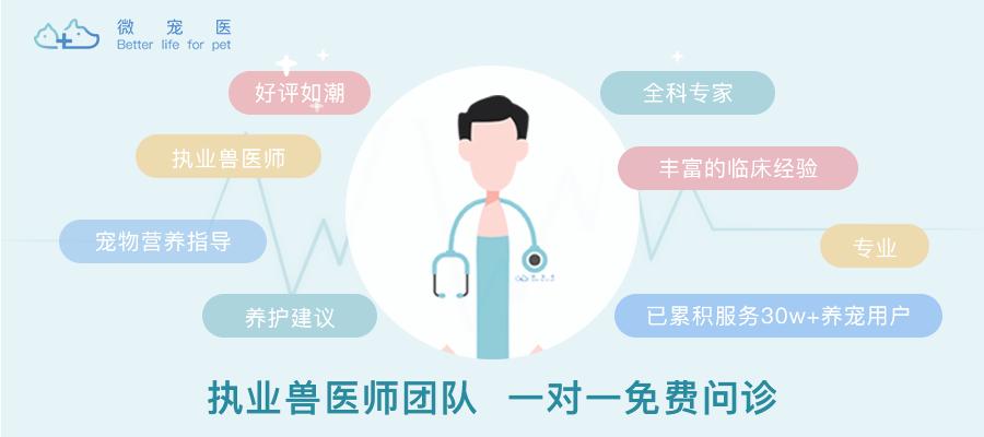 猫咪的胡须有什么作用一年级,猫咪的胡须有什么用