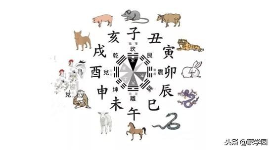 十二地支与十二生肖对应的原因,十二生肖地支暗合