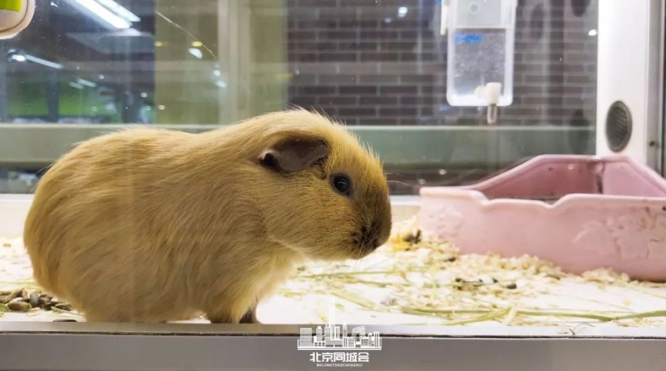 不去后悔去了更加后悔的景点,不去后悔去的景点