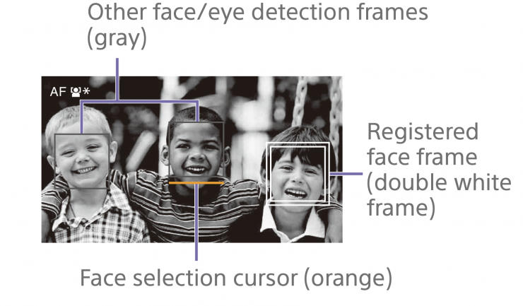 索尼fx30与佳能r6对比,直播相机索尼fx3和佳能c70哪个好