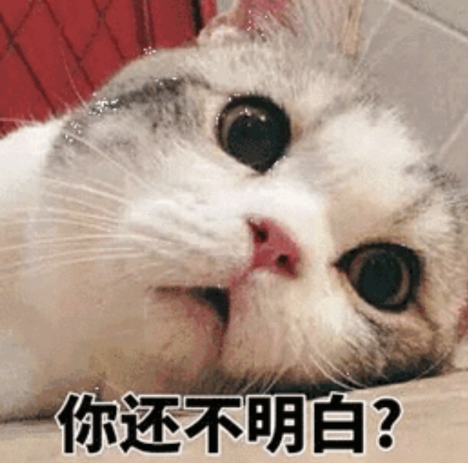 打造个人品牌最快的方法,如何建立个人品牌的5个关键步骤