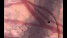 科普张姿势动图:感觉自己姿势又涨了100点