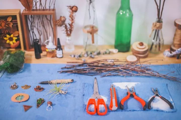 她31岁放弃北漂,回归自然,用枯枝败叶,打造了一个梦幻森林