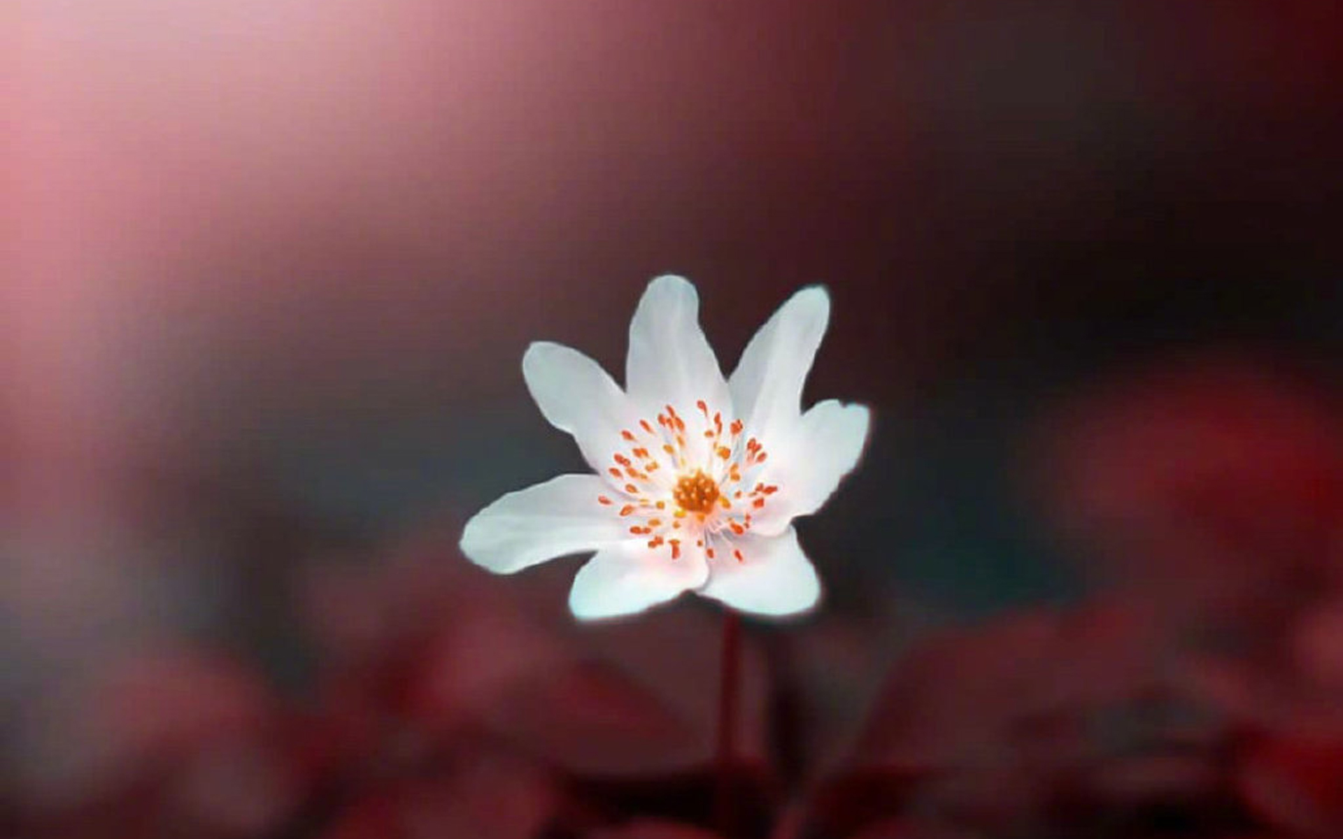 古诗必背成语,40个出自古诗词名句里的成语