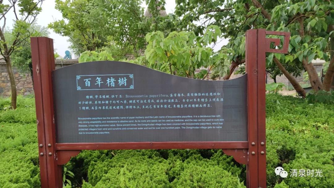 秋游锦园,秋游东黄山