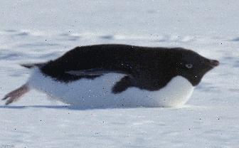 “今天下雪了”不是Itsnowstoday，别再说错了