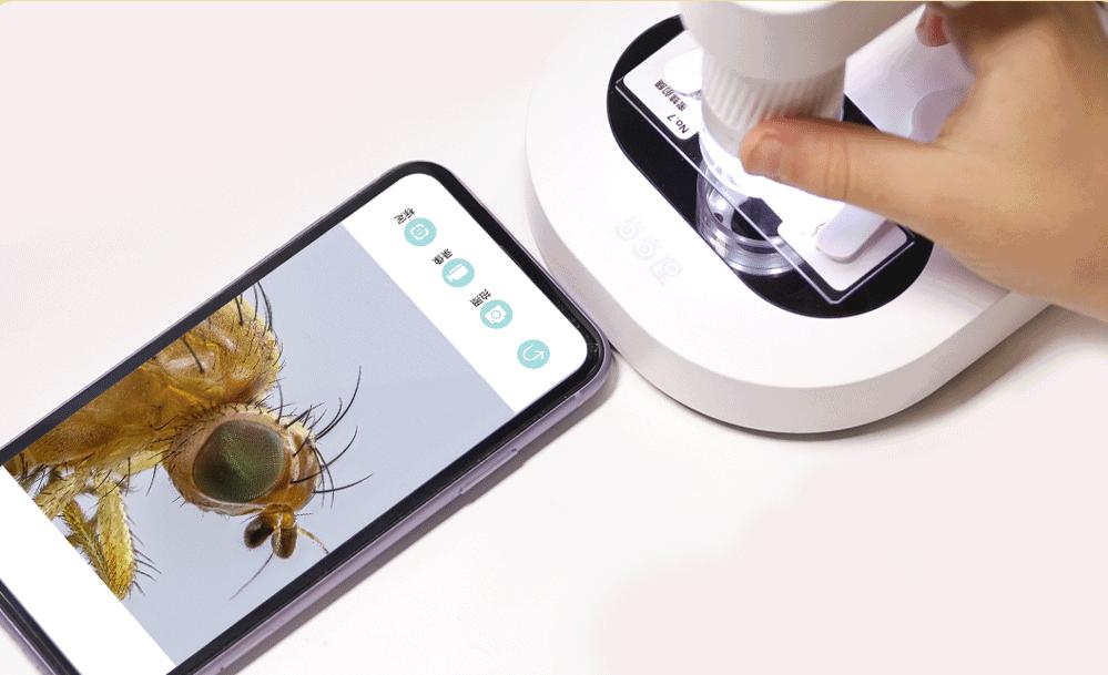 暑假孩子玩手机不如打篮球吧,儿童显微镜放大蚂蚁120倍