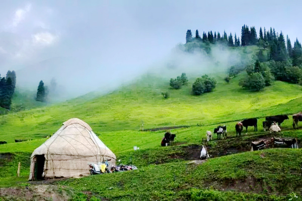 九曲十八弯河流,九曲十八弯水库