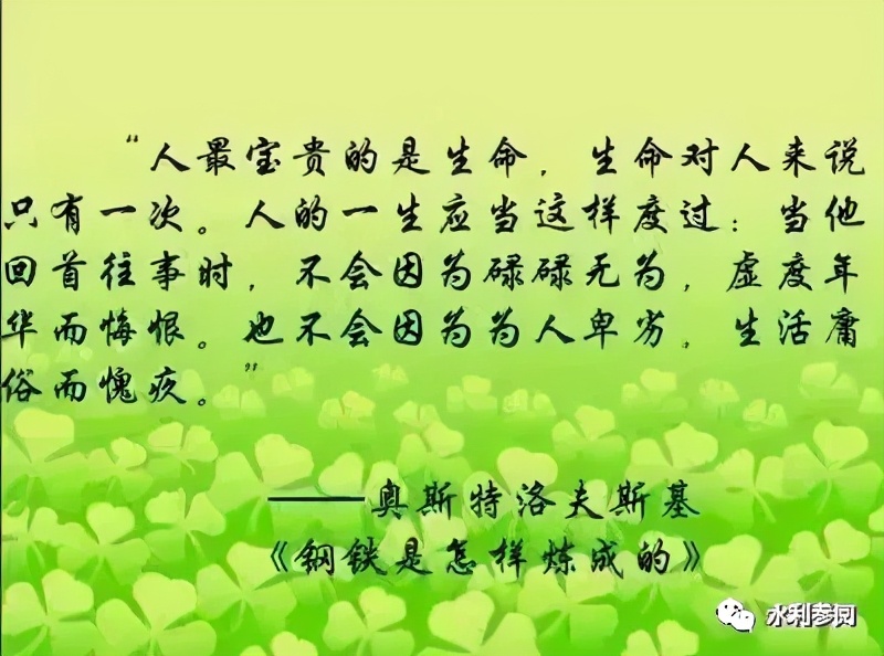 世界读书日好书推荐人生感悟,世界读书日与书为友品读人生