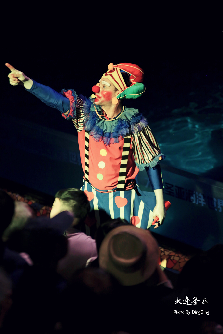 北方明珠活力四射的浪漫之都大连，国内最具特色的海洋世界圣亚