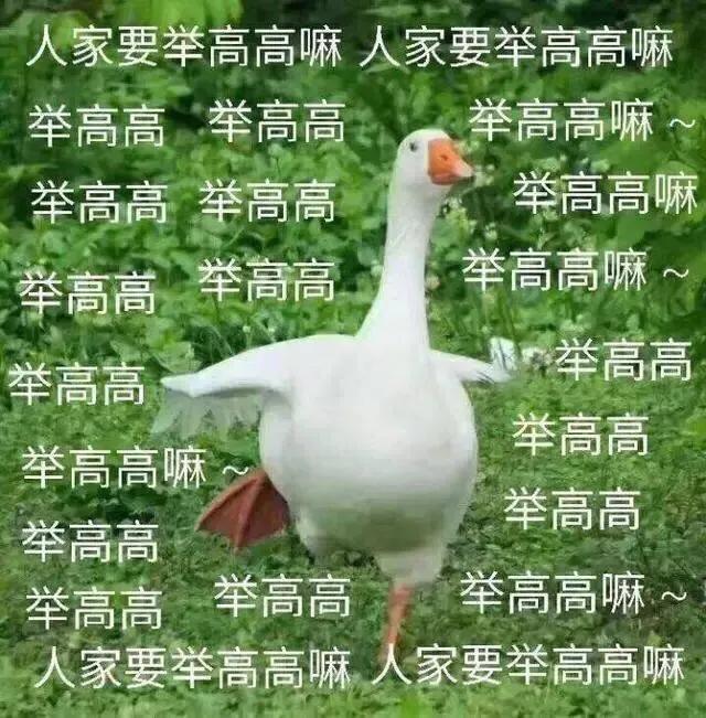 被捧上天的菲洛嘉人气组合,去法国旅游,人人列必买清单