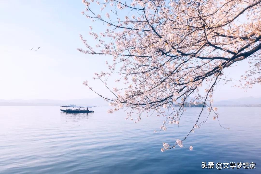 春天的成语和古诗句,有哪些是关于春天的成语