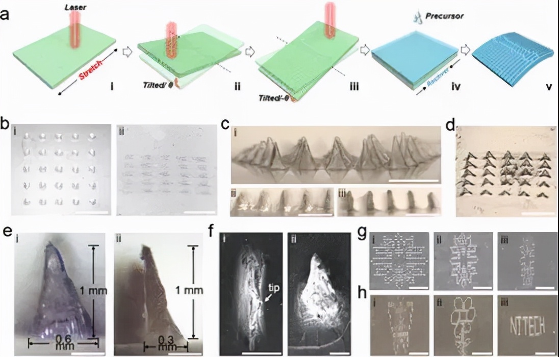 南京工业大学:一种可实现伤口智能管理的微针敷料