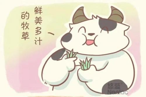 悠蓝官网真伪码查询,悠蜜怎么辨别真假