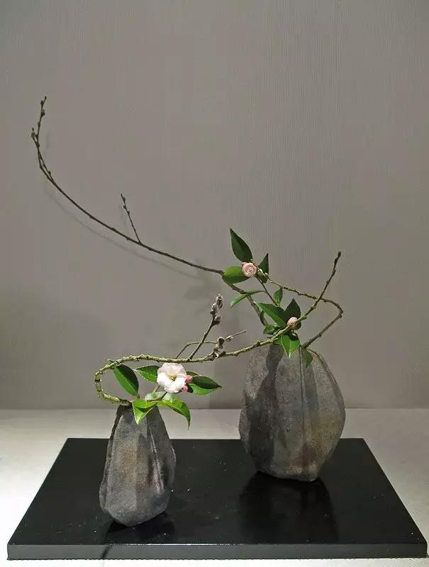 花艺必备|盘点那些超受欢迎的日本进口花材