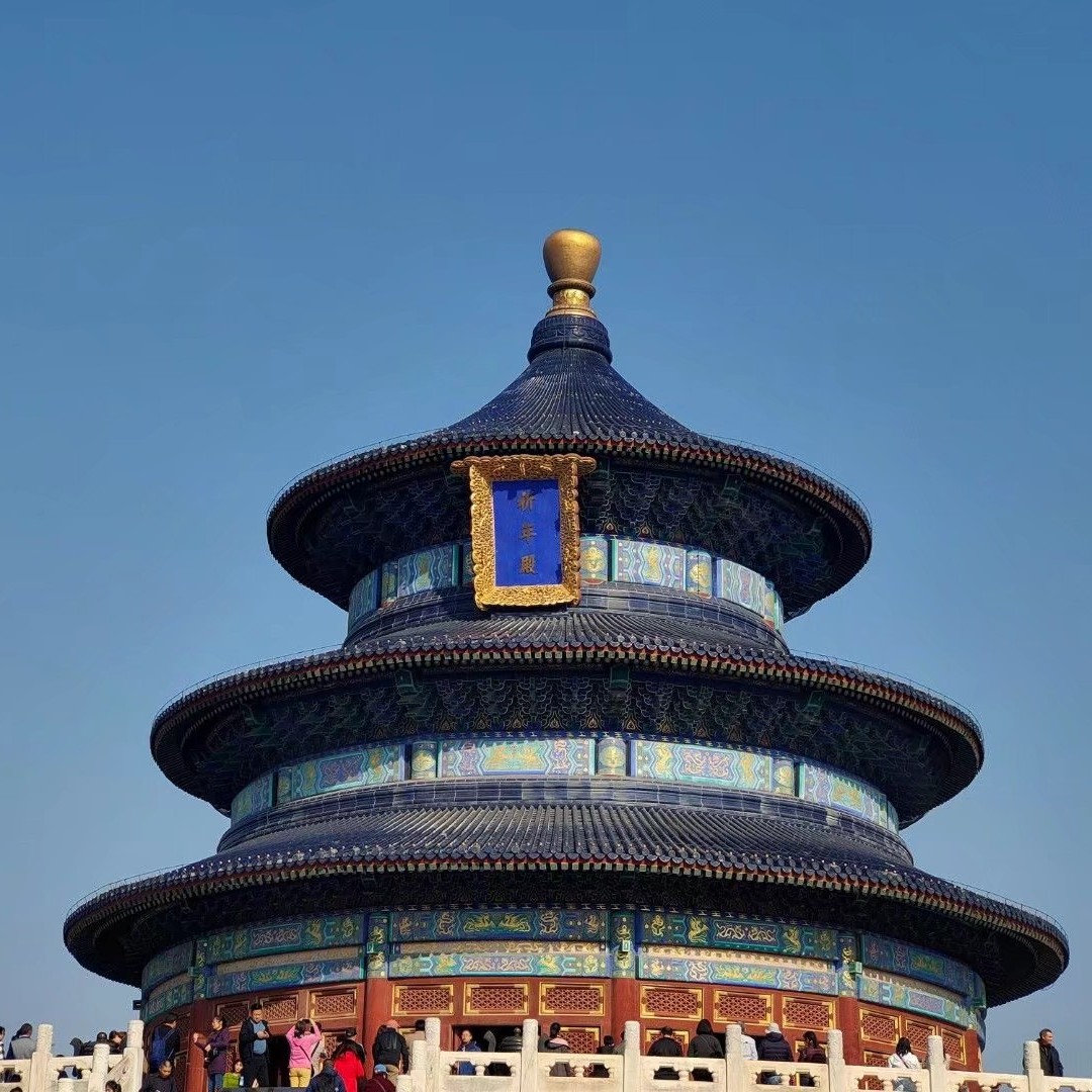 奇妙假日旅行,奇妙假期在哪里看