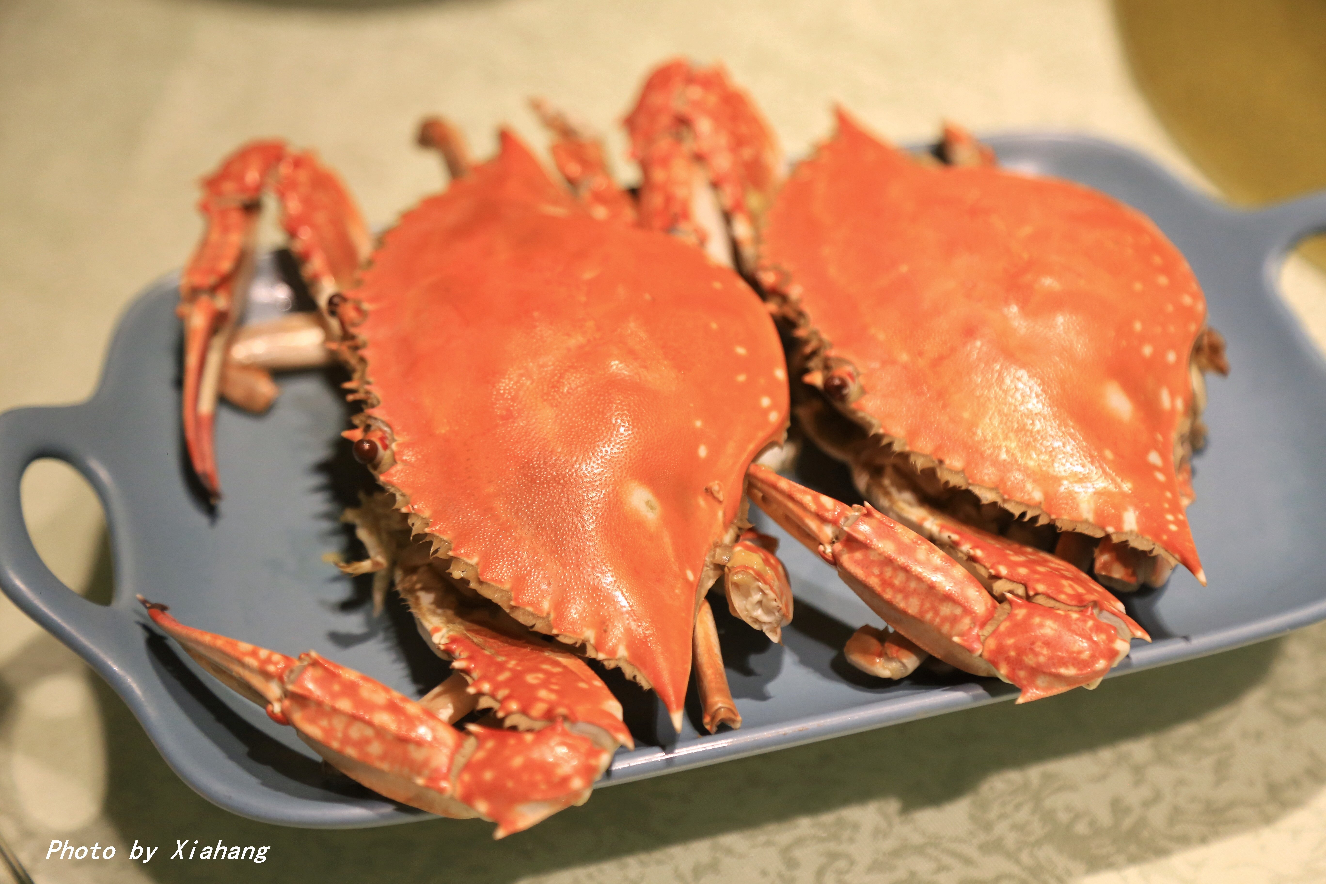 温岭海鲜美食排行榜前十名,温岭美食推荐网红打卡地海鲜城