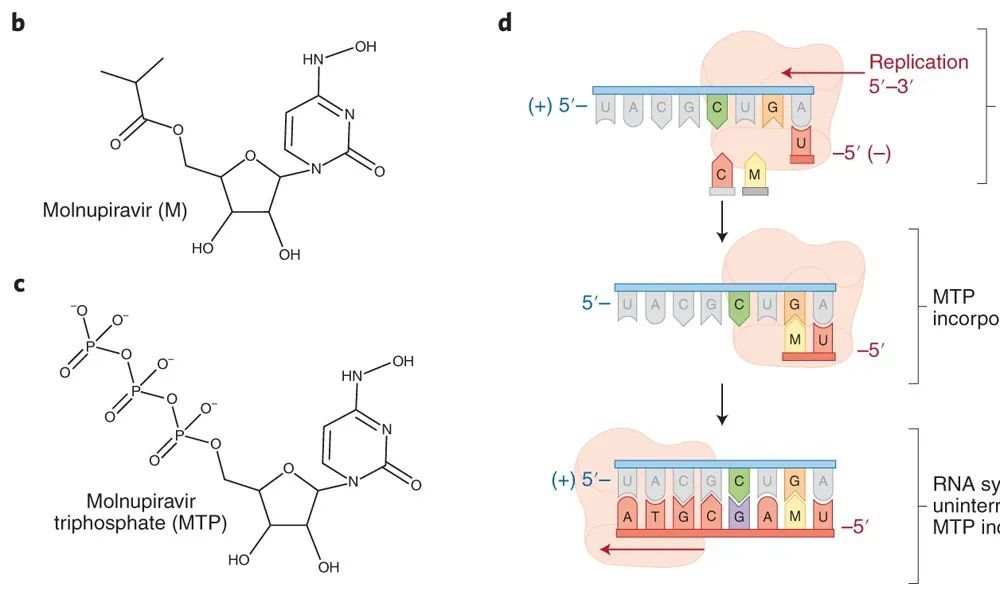 新冠国内特效药,新冠有效药最新消息