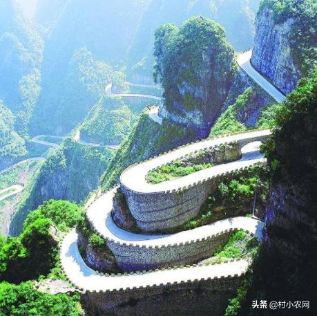 农村干什么生意最好最赚钱项目,农村做什么致富最快