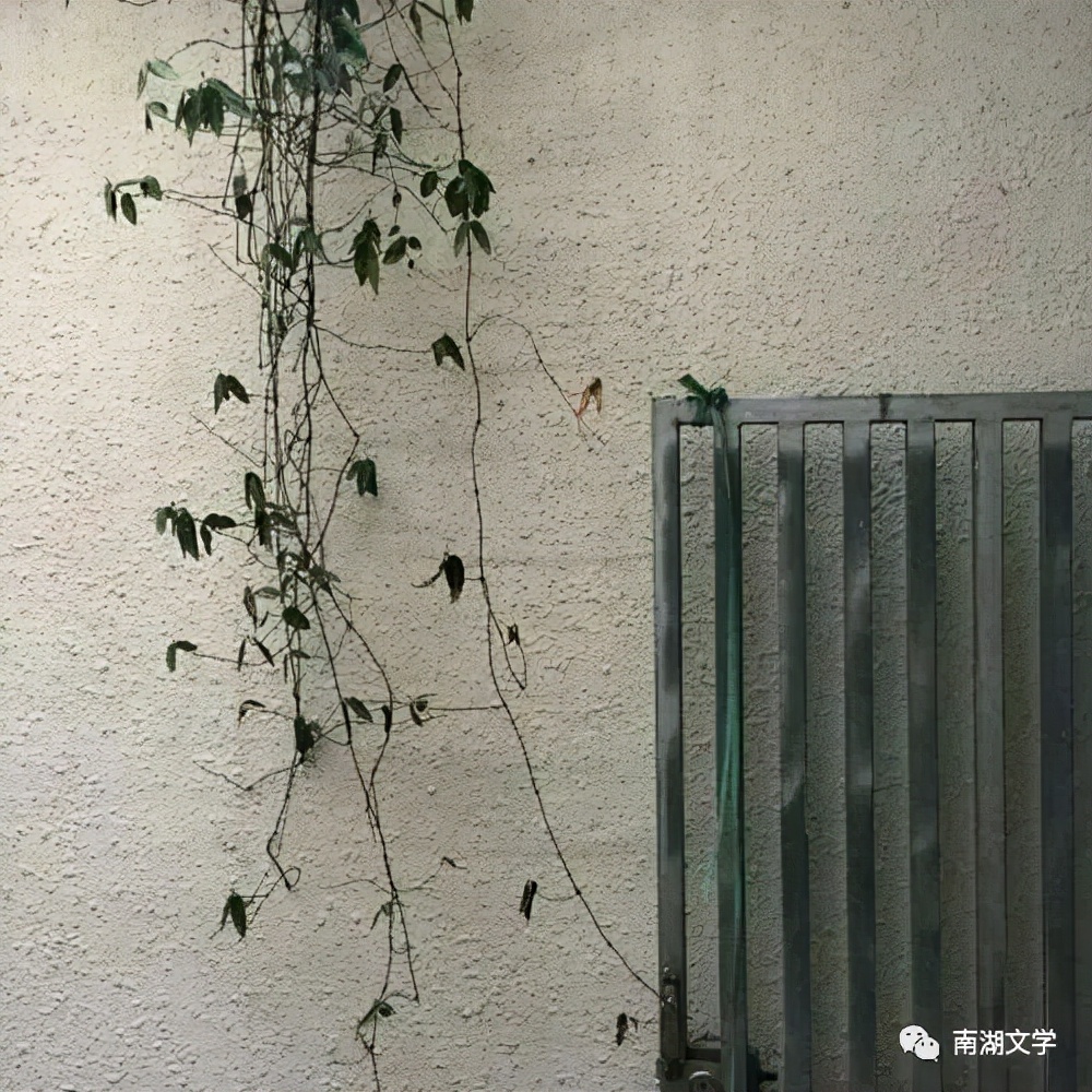 广州象贤小学,象贤镇中心小学