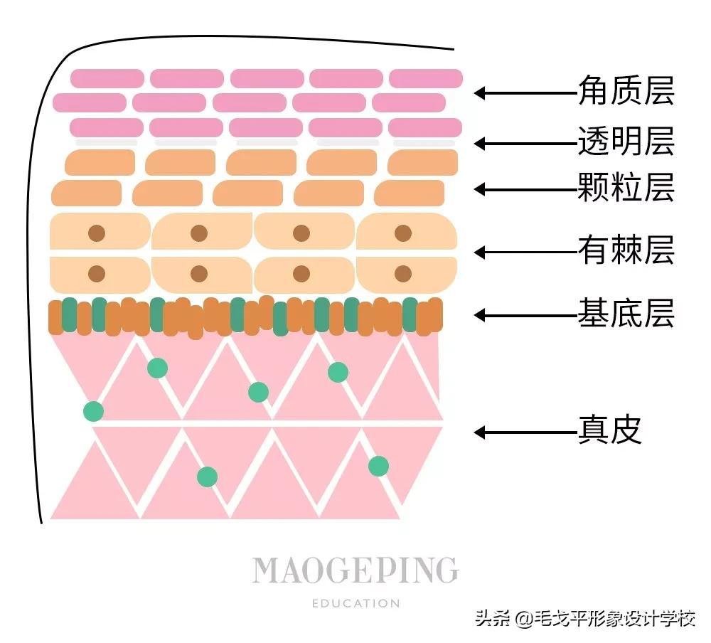 有哪些别人信以为真的护肤谣言,越来越丑的十大护肤谣言