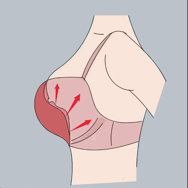 你的胸部外扩了?别再吓自己了