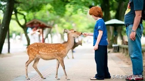 亲子游路线2-3天,湖北恩施亲子游攻略路线推荐