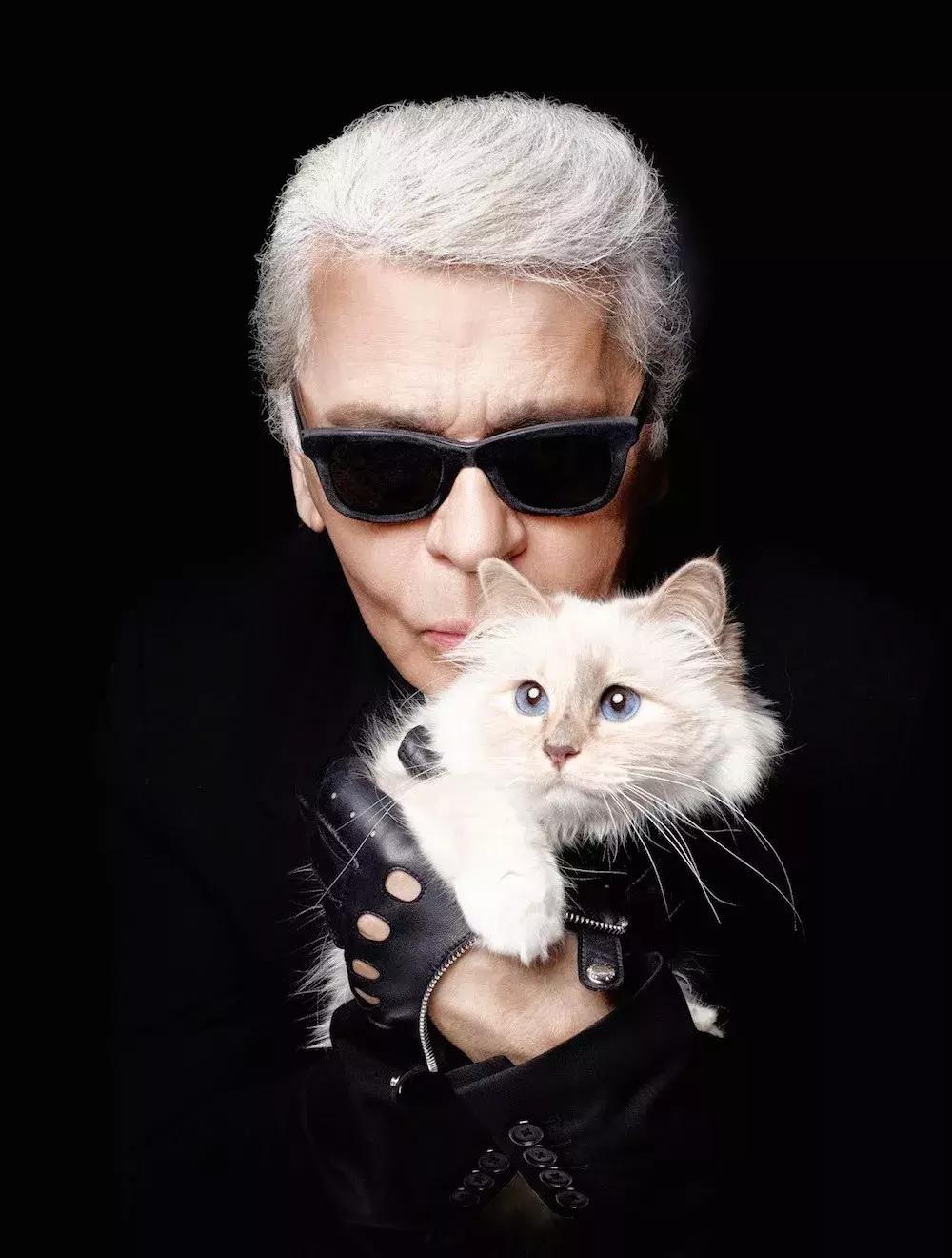 老佛爷去世，他那只年挣300万欧元的猫将继承他的遗产？！