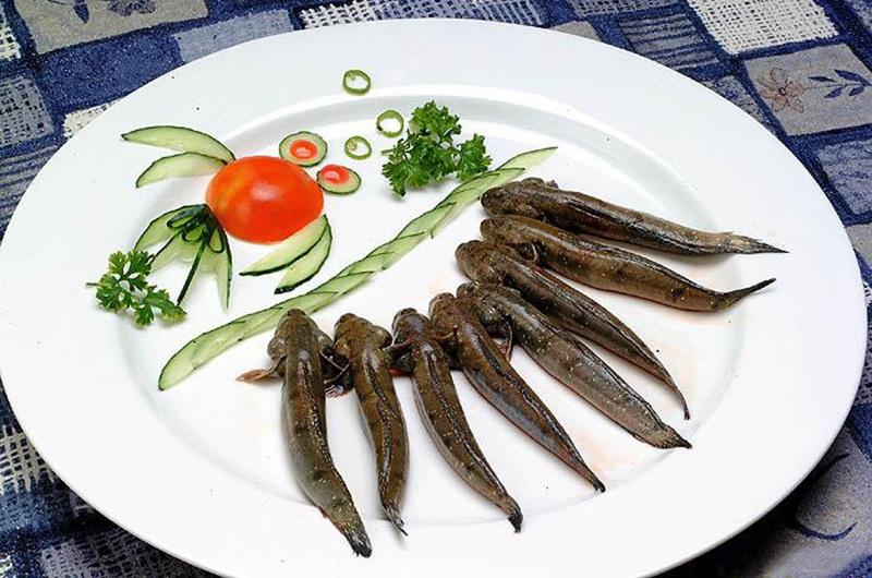 已经有很多人开始吸这种鱼，你却还没有正眼看过它