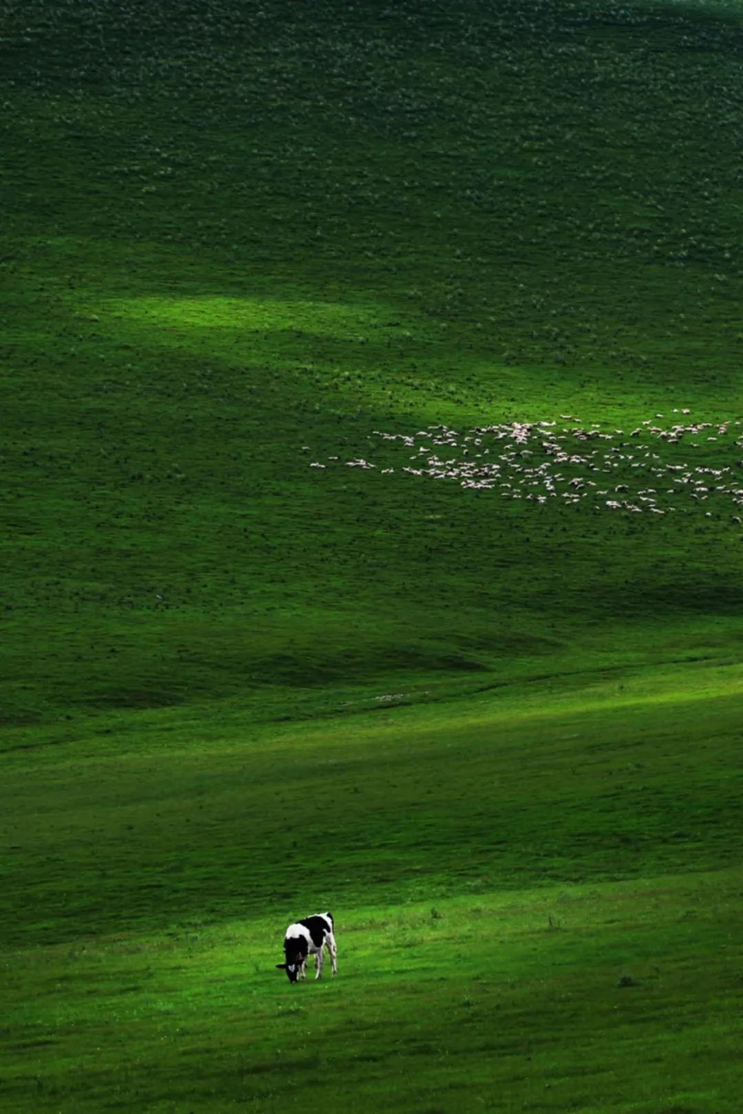 呼伦贝尔不为人知的景点,呼伦贝尔地区道路风景