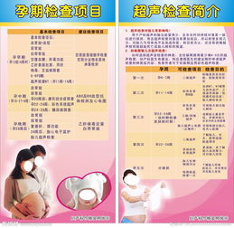 怀孕产检一共多少钱,怀孕产检流程