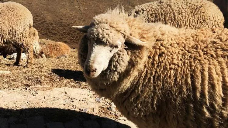 五一昆明周边游适合孩子玩的地方,昆明五一旅游景点攻略自由行