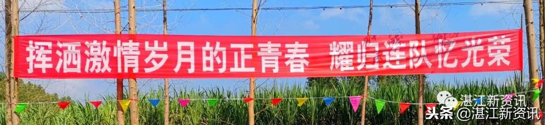 知青下乡49周年纪念活动,纪念知青下乡50周年图片图文