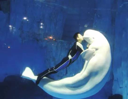 长沙拍照打卡排行榜前十名,长沙有哪些值得拍照的地方