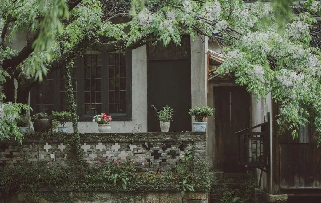 何不归去做个闲人,闲来无事做个闲人