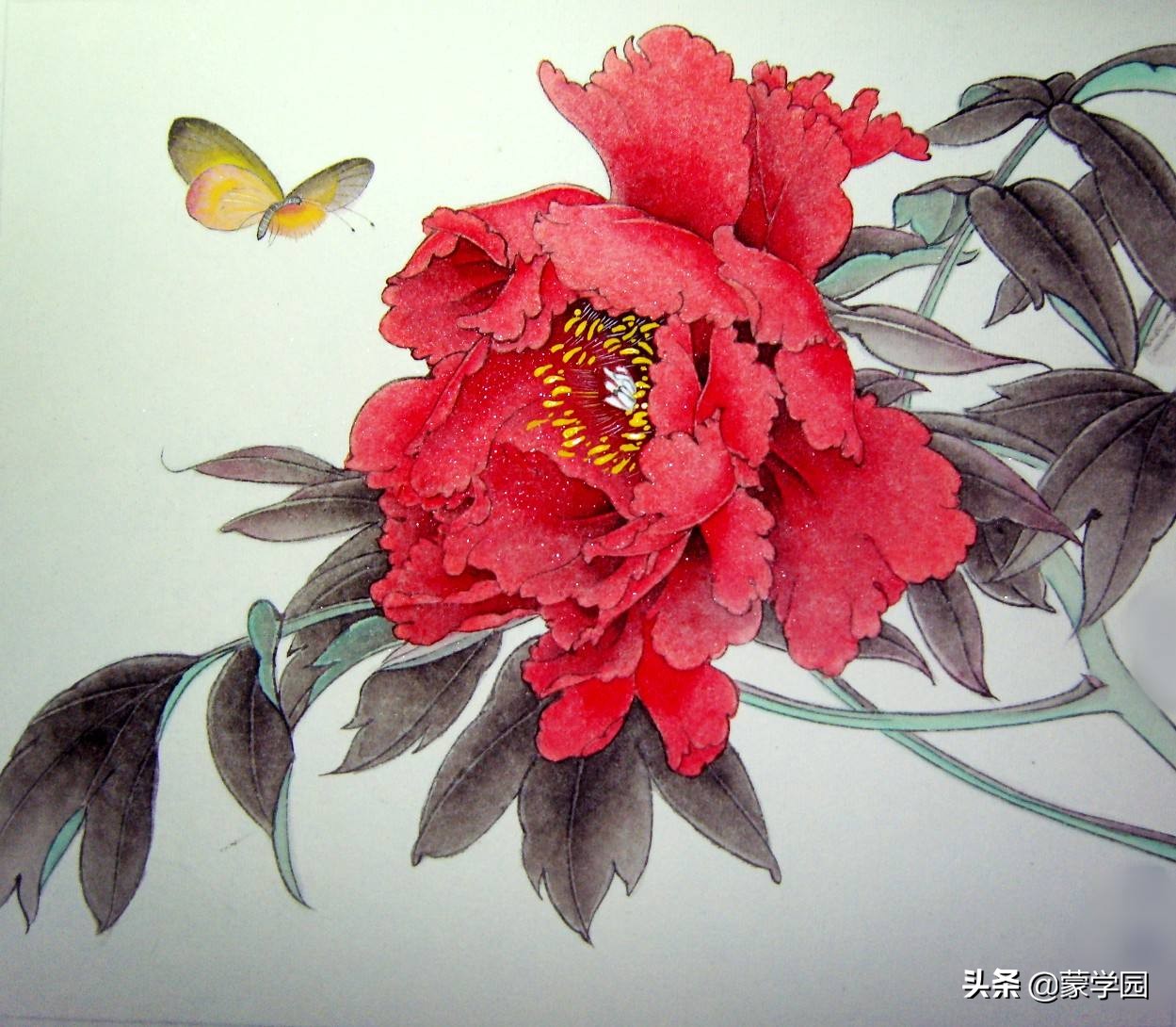 最知名的咏牡丹诗词有哪些,咏牡丹七绝最美