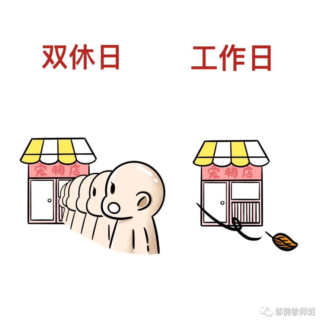 开宠物店一个月要卖多少只宠物,开宠物店赚钱真的假的