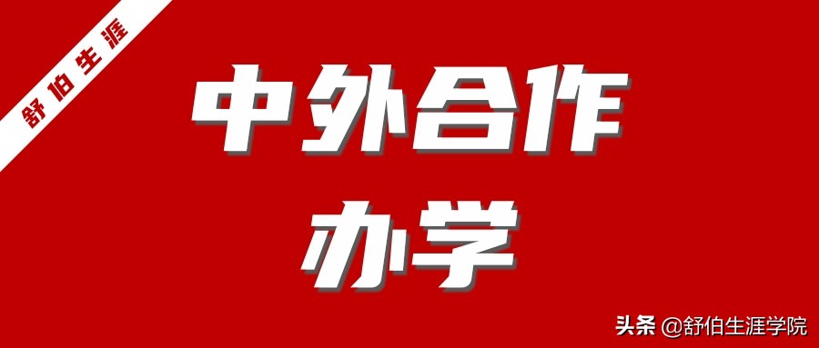 中外合作办学高校报考价值,2020年中外合作办学热度排名